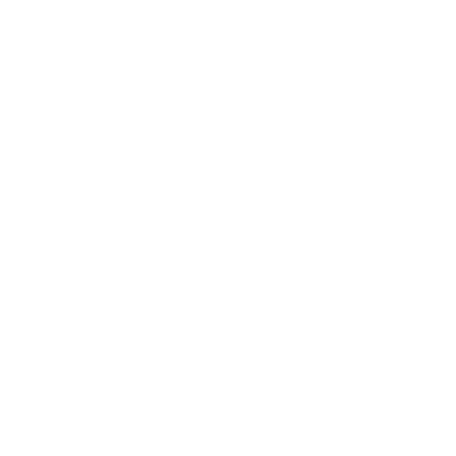 metafin form roadtax icon