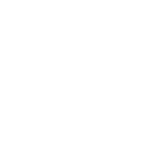 metafin payment icon