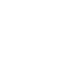 critical illnesses coverage