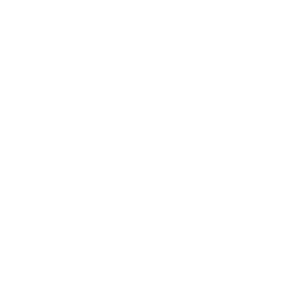 annual limit