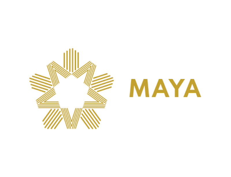 maya naval systems logo